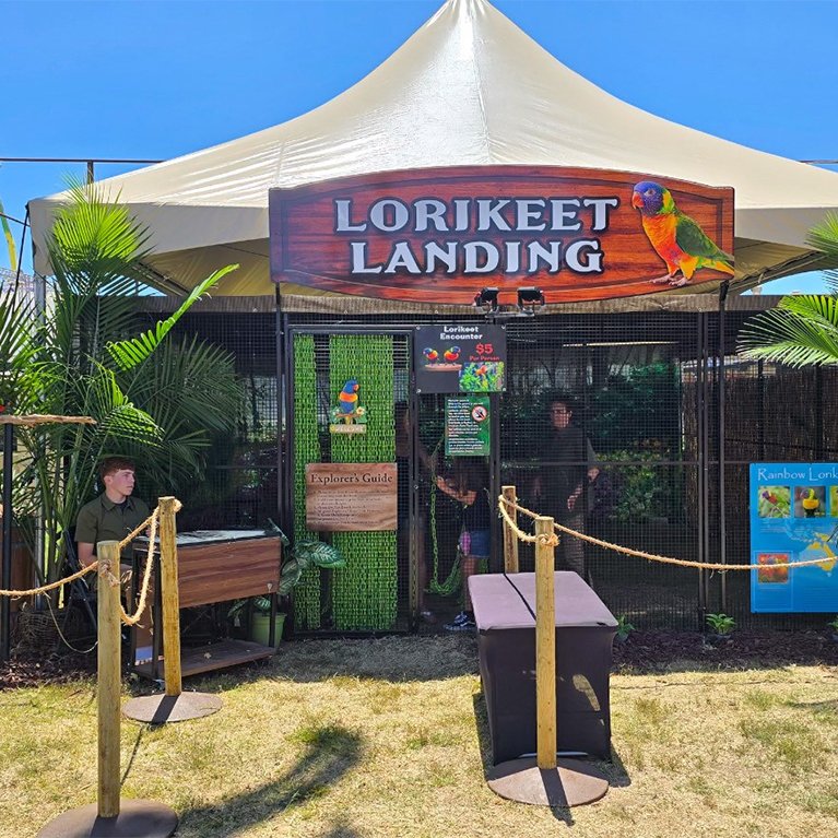 Lorikeet Landing
