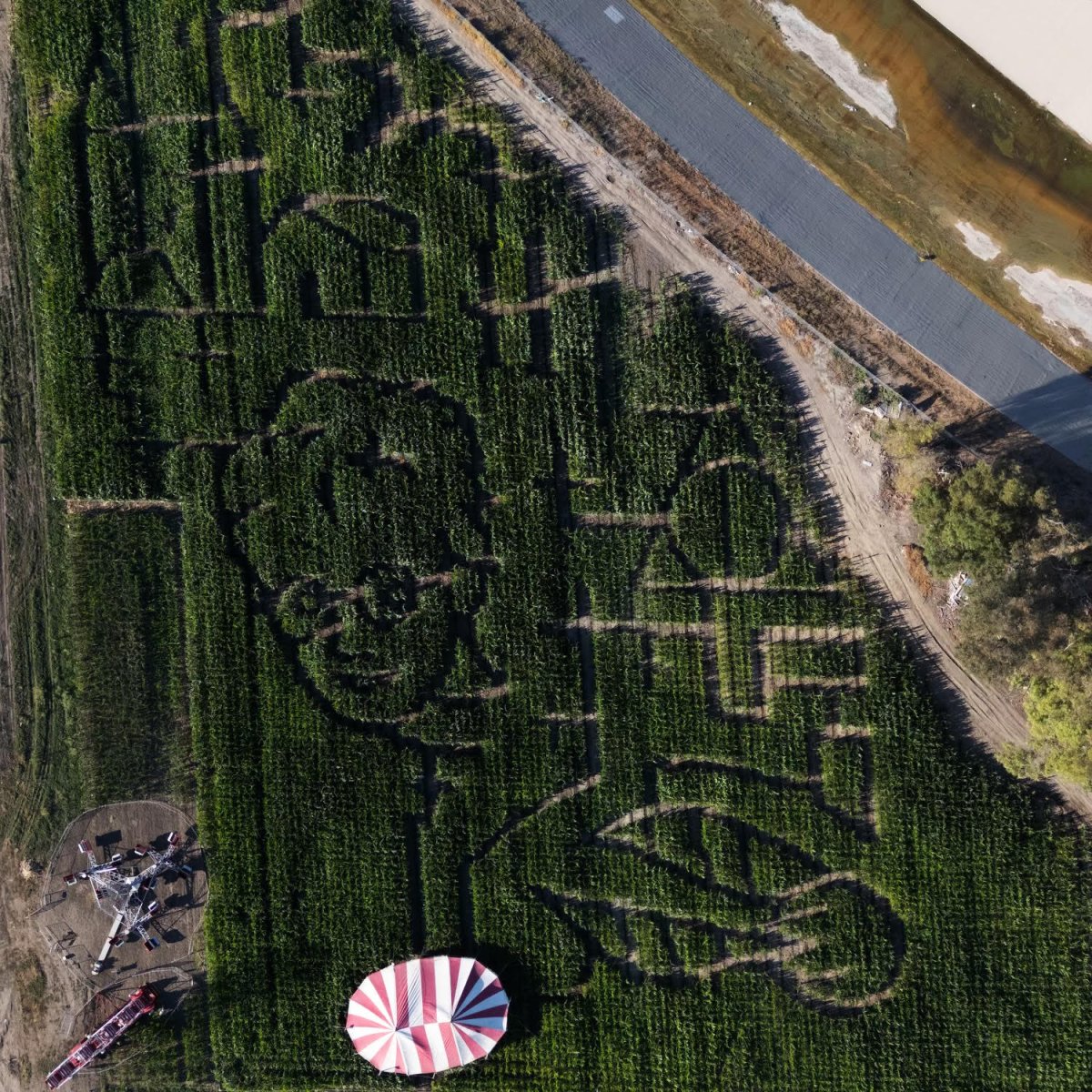 4-Acre Corn Maze
