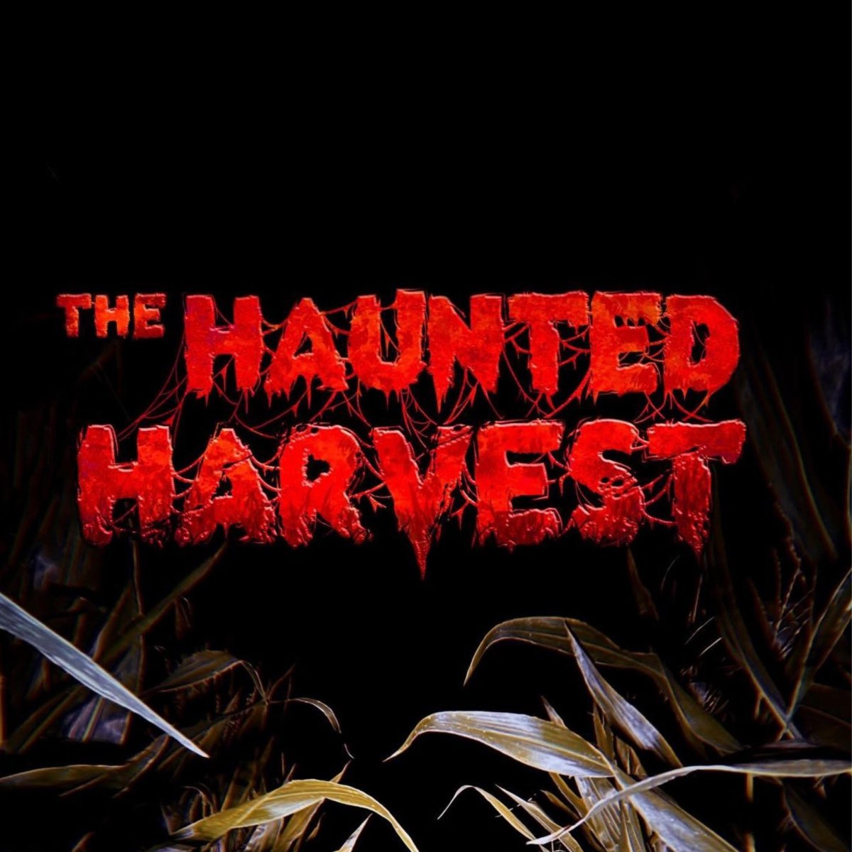 Haunted Corn Maze
