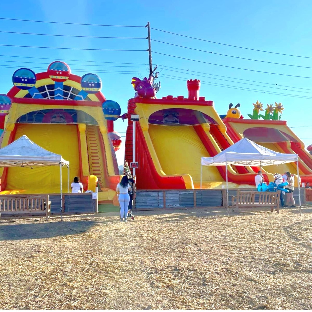 Inflatable Rides & Jumpers
